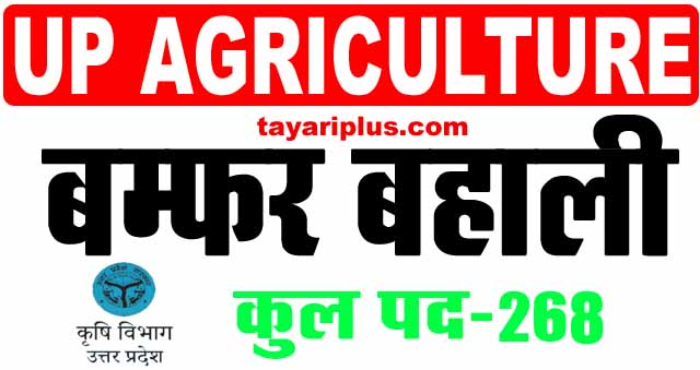 UP Agriculture Vacancy Online Apply 2024